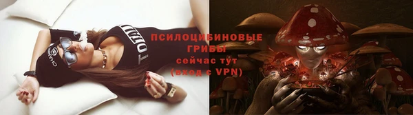 мет Кинешма