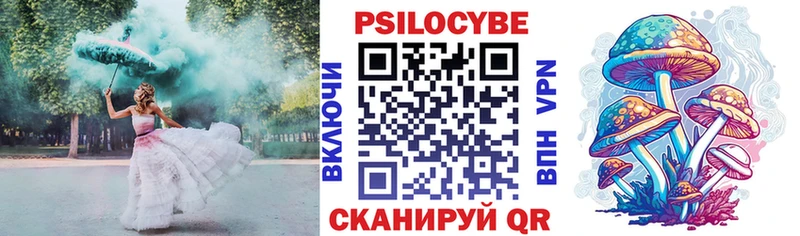 Купить где  Павловская  Псилоцибиновые грибы Magic Shrooms 